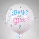 Boy or Girl- 47