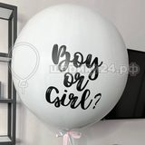 Boy or Girl- 22