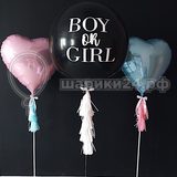 Boy or Girl- 59