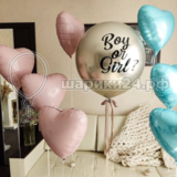 Boy or Girl- 11